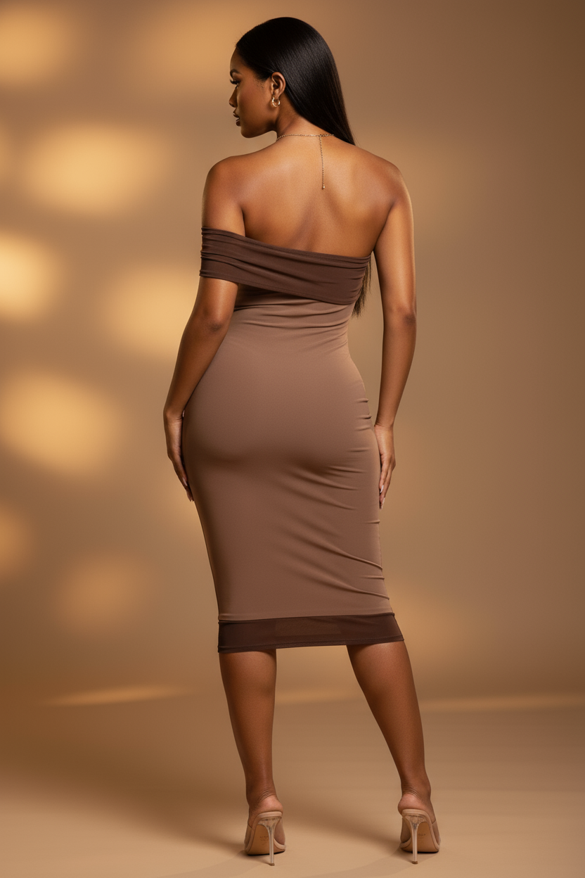Brown off the shoulder mesh dress with lining